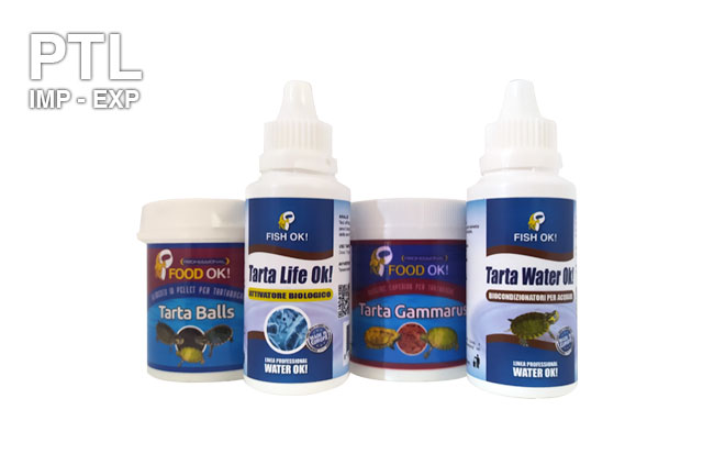 kitbundle_mini_tarta_ptl